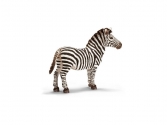 Zebra csõdör,  állatok